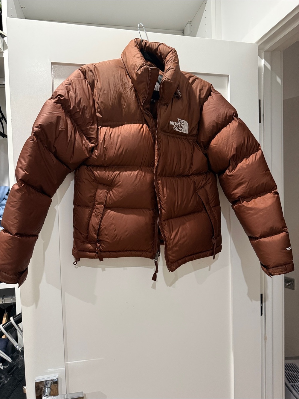 North Face 1996 retro nuptse 700 puffer jacket